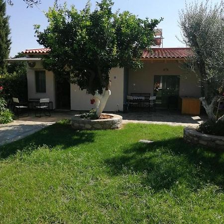 Κατοικία στην Άβυθο, Αιγίου για βραχυχρόνια ή μακροχρόνια μίσθωση Ροδοδάφνη Εξωτερικό φωτογραφία