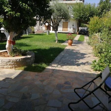Κατοικία στην Άβυθο, Αιγίου για βραχυχρόνια ή μακροχρόνια μίσθωση Ροδοδάφνη Εξωτερικό φωτογραφία